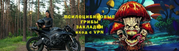 индика Богородицк